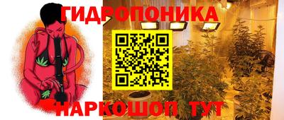 мдпв Старая Купавна