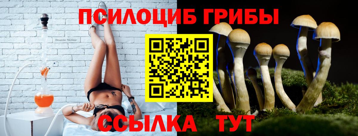 Семилуки  магазин продажи наркотиков  Вход с VPN  Псилоцибиновые грибы прущие грибы 
