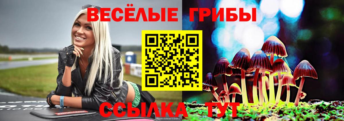 Галлюциногенные грибы Cubensis  Семилуки 